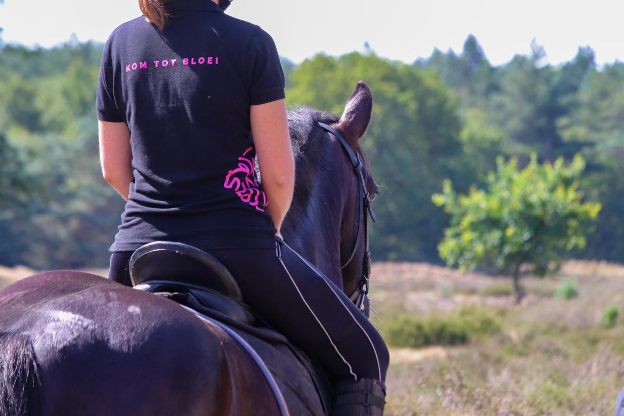 Magnolia Hoeve - Unieke Bestemming Voor Paardenliefhebbers En Bijzondere Overnachtingen In De Natuur Ledeacker Exteriér fotografie