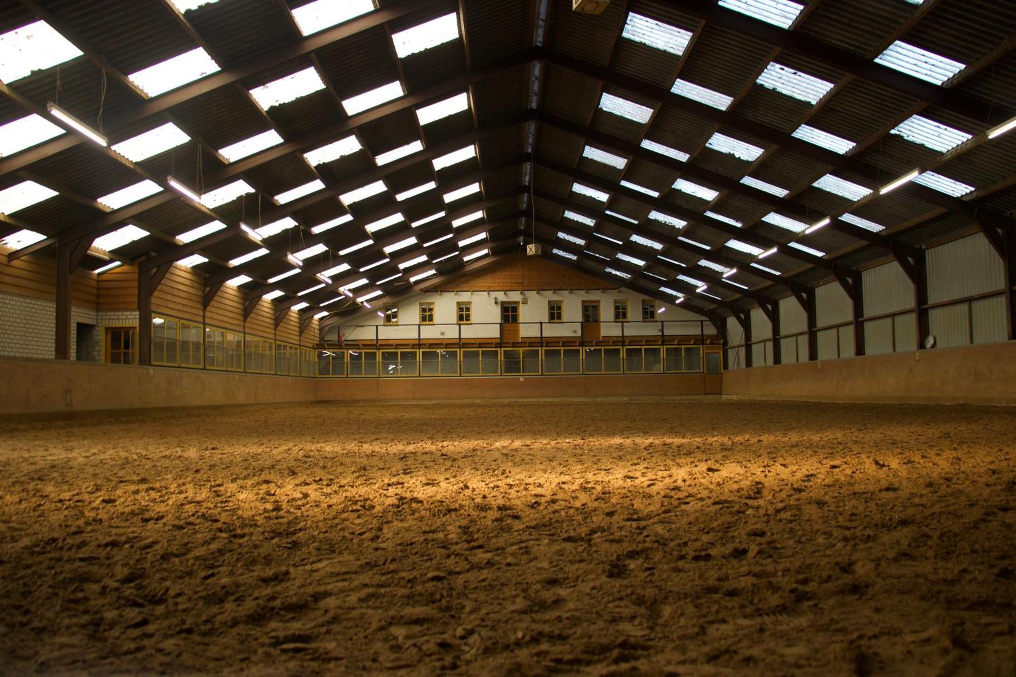 Magnolia Hoeve - Unieke Bestemming Voor Paardenliefhebbers En Bijzondere Overnachtingen In De Natuur Ledeacker Exteriér fotografie