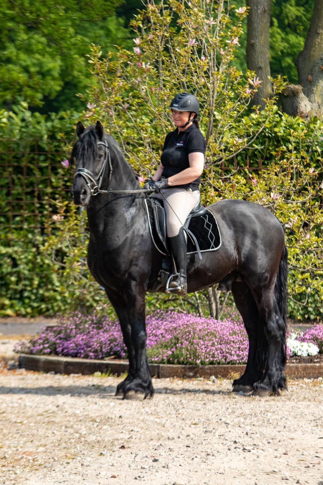 Magnolia Hoeve - Unieke Bestemming Voor Paardenliefhebbers En Bijzondere Overnachtingen In De Natuur Ledeacker Exteriér fotografie
