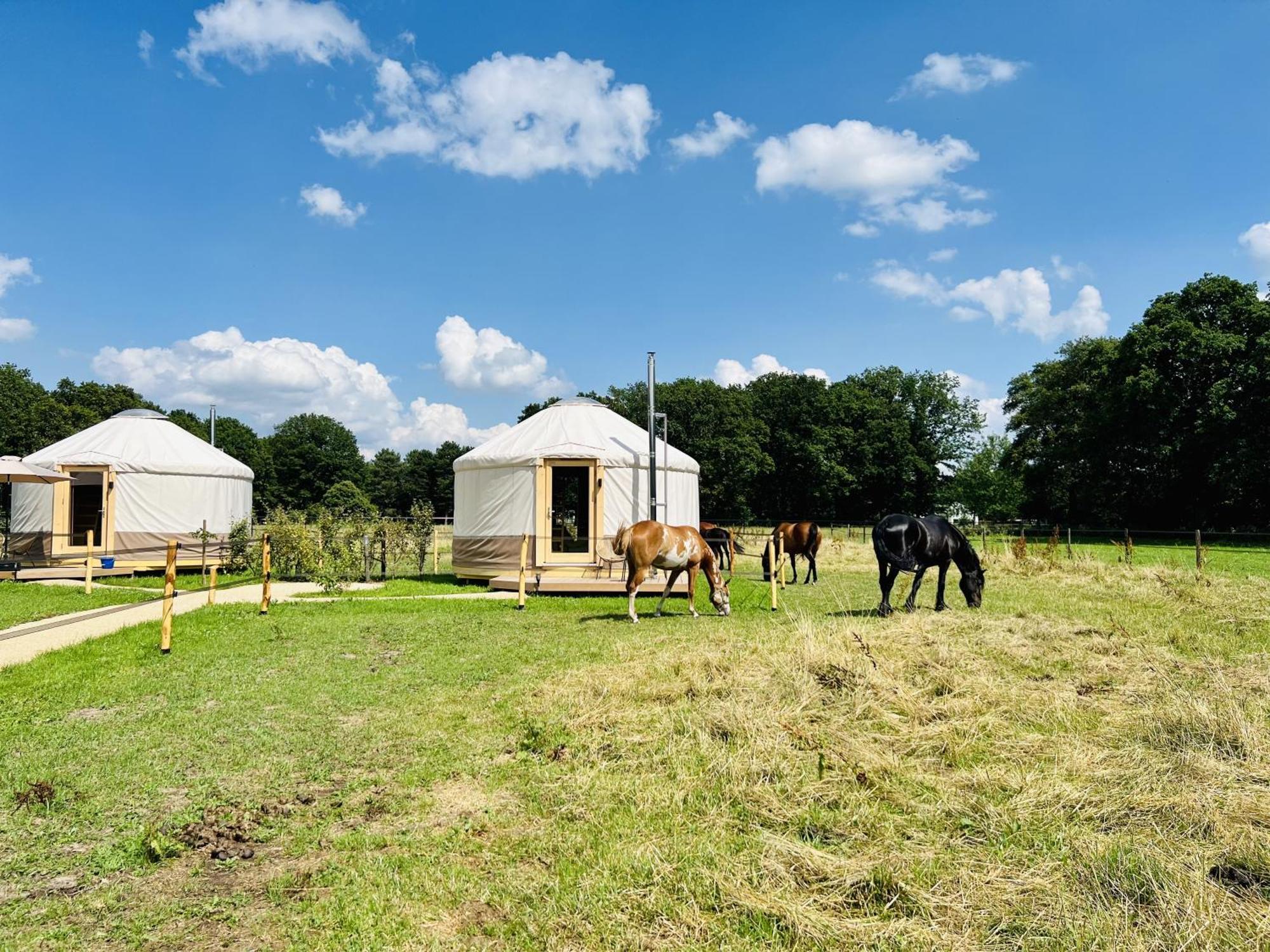 Magnolia Hoeve - Unieke Bestemming Voor Paardenliefhebbers En Bijzondere Overnachtingen In De Natuur Ledeacker Exteriér fotografie